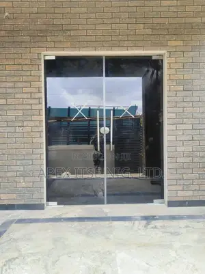 Swing Door Dark Glass