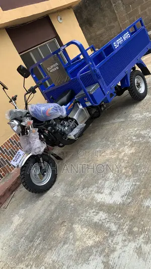 Photo - New Tricycle 2024 Blue