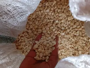 Your Trusted Partner for Quality White Maize–Buy in Bulk!