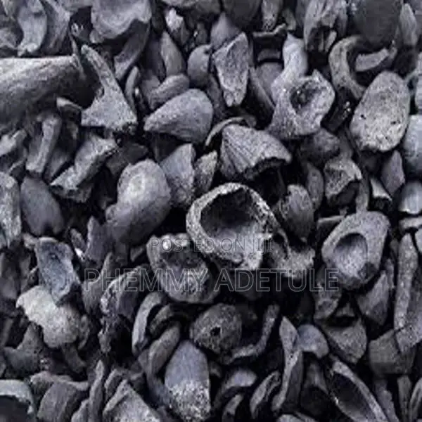Palm Kernel Shell Charcoal (Carbonized)