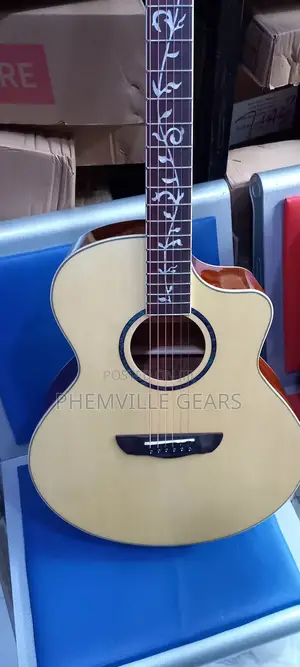 Bullfighter Seminar Acoustic Guitar