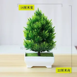 Potted Plant Home and Officr Decor