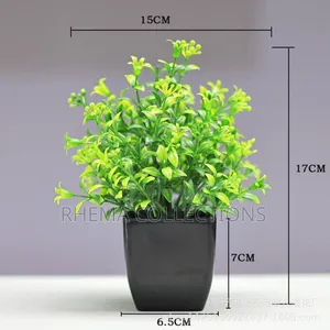 Hephzibah Potted Plant Home and Office Decor 7