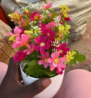Naomi Potted Plant Home and Office Decor