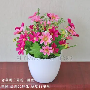 Naomi Potted Plant Home and Office Decor