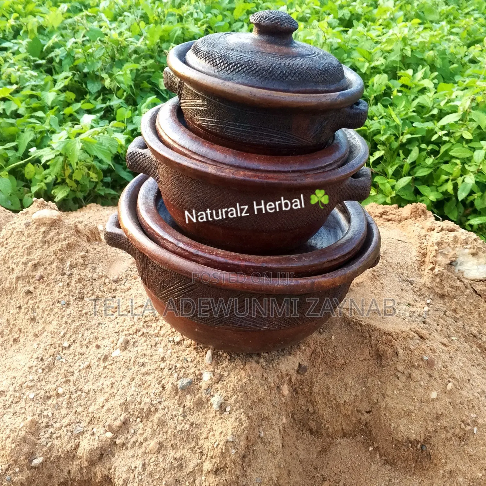Earthware Clay Pot