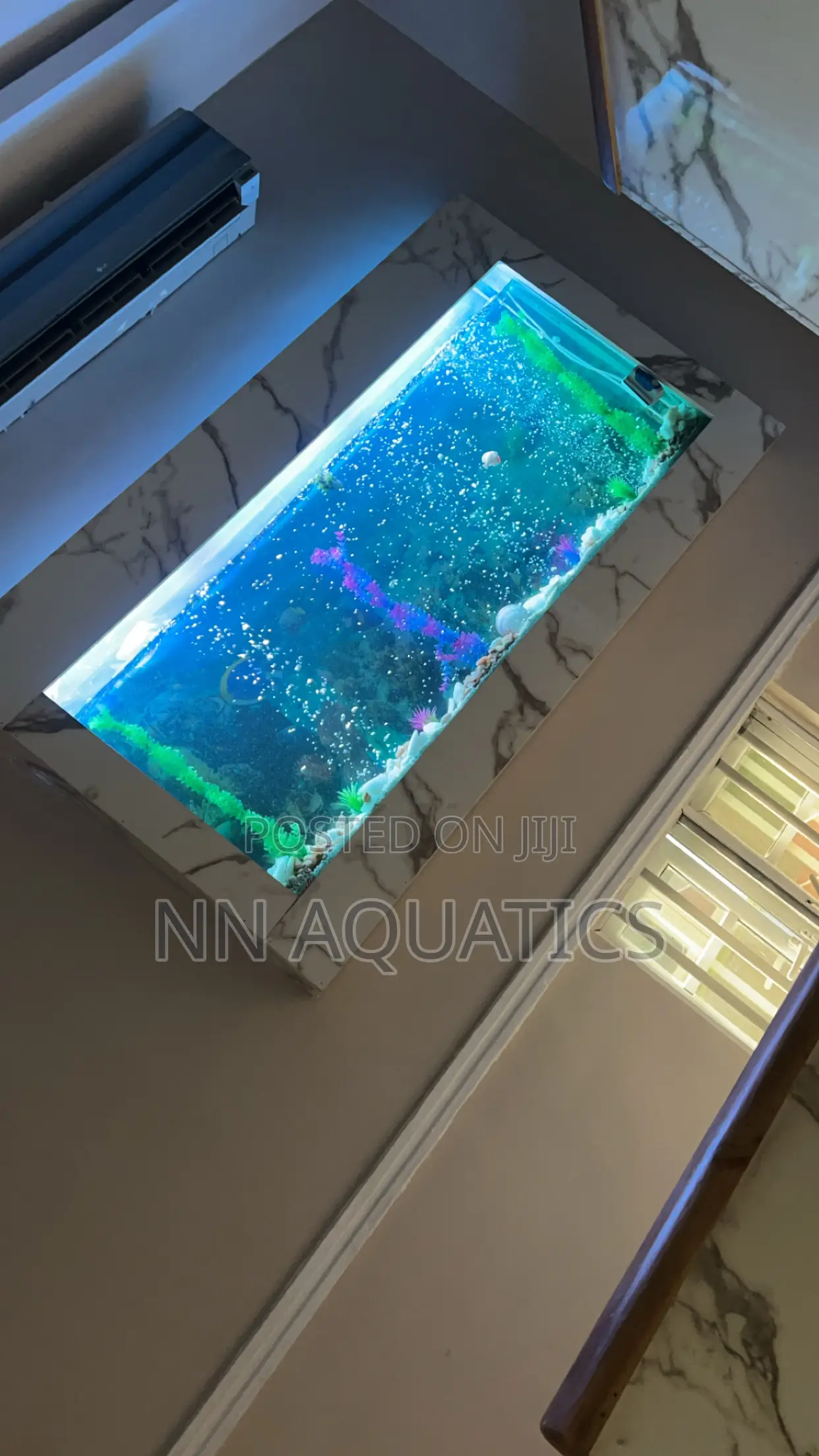 6ft Wall Aquarium