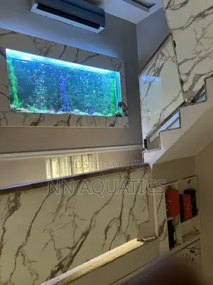 6ft Wall Aquarium