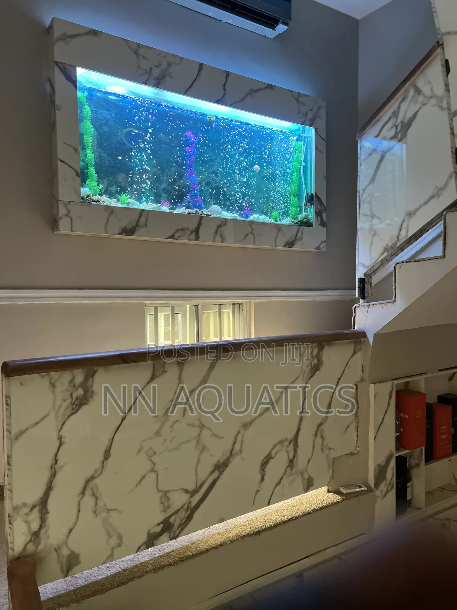 6ft Wall Aquarium