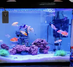Aquarium Light Timer