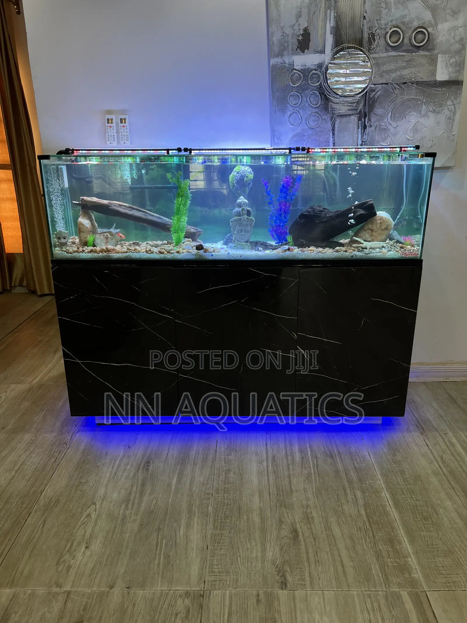 6ft by 2ft Aquarium