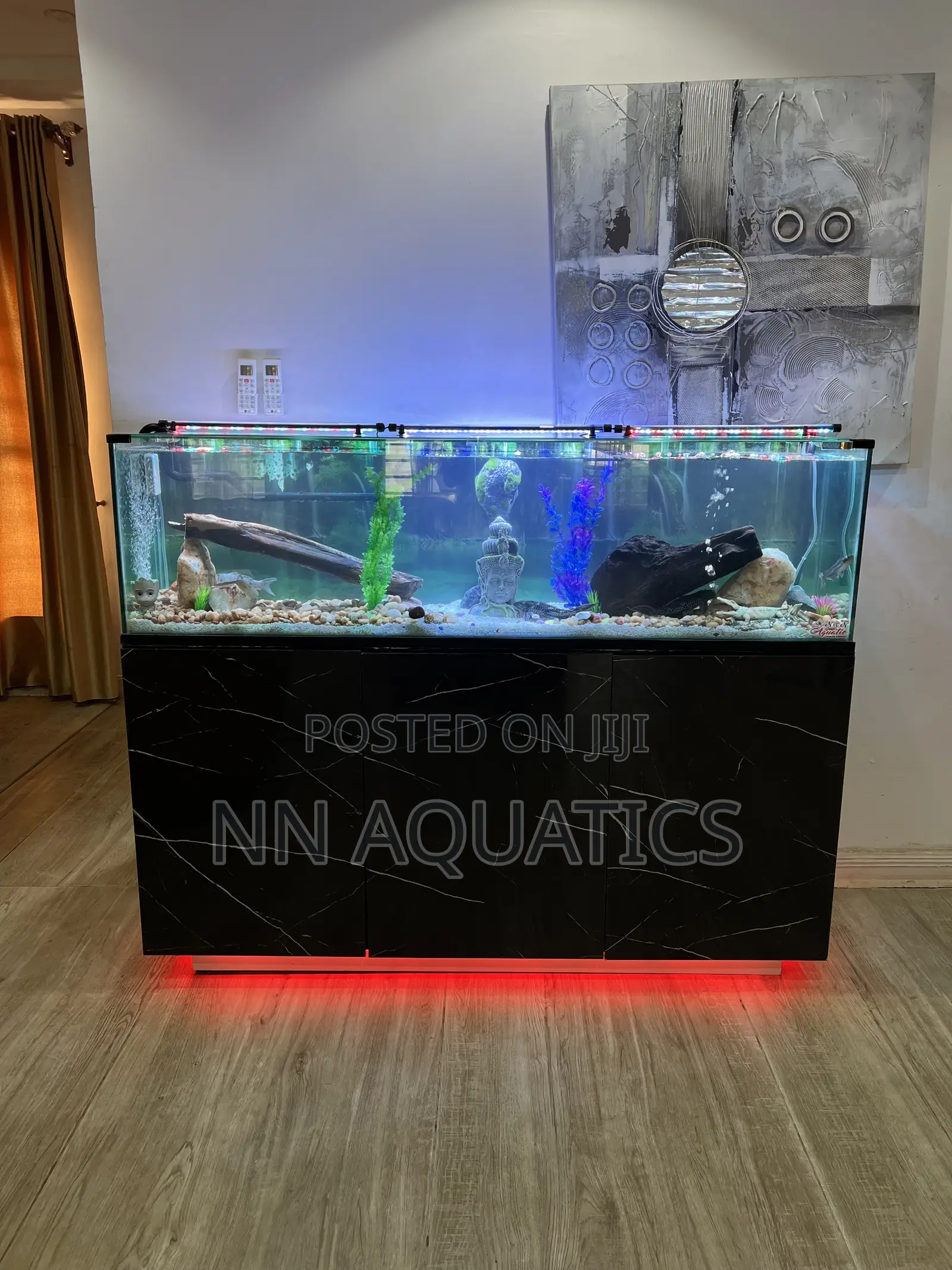 6ft by 2ft Aquarium