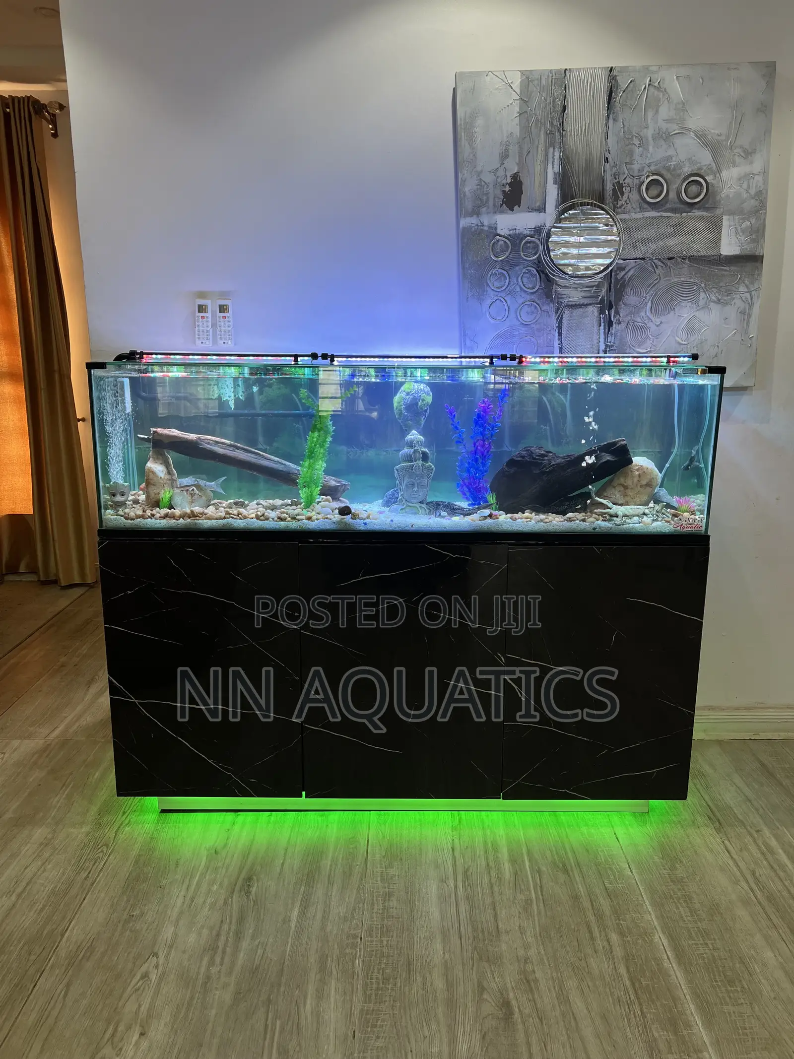 6ft by 2ft Aquarium