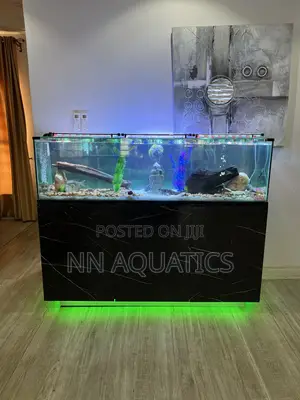 6ft by 2ft Aquarium