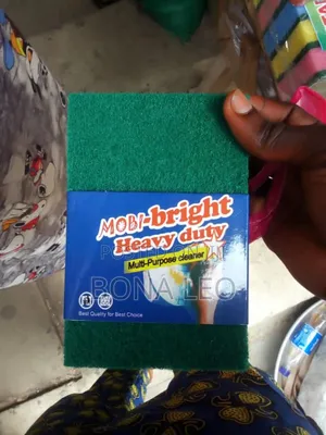 Hard Kitchen Sponge
