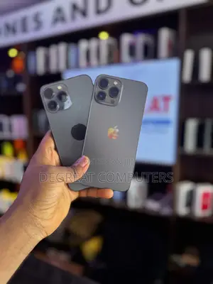 Apple iPhone 13 Pro Max 128 GB Gray