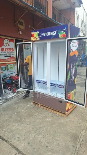 Original Snowsea 700l Display Chiller Freezer for Business