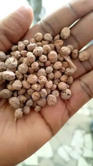 Unlock Wholesale Savings on Tiger Nuts Tiger Nuts Powder!