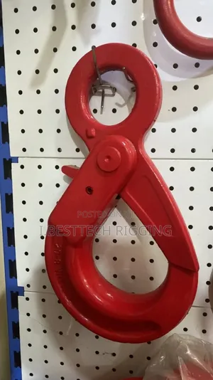 5.3ton Show Lock Hook