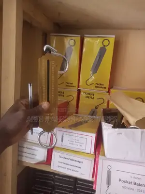 100kg Pocket Balance Scale