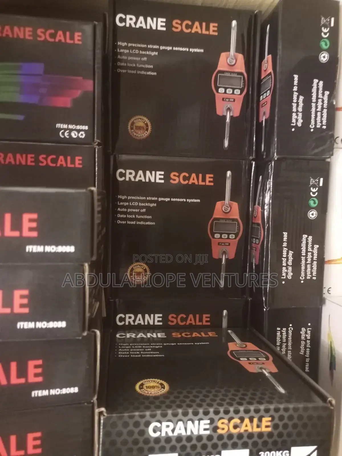 300kg Mini Crane Scale
