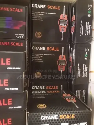 300kg Mini Crane Scale