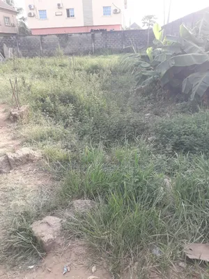 For Sale: Full Plot of Land Facing Ago Palace Way.