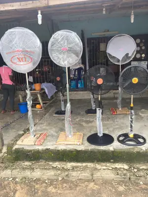 Ox Standing Fans