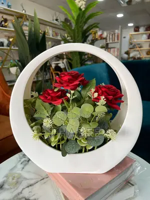 Red and Green Plant in Circular Plastic Vase