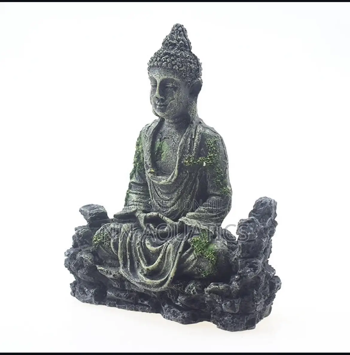 Buddha for Aquarium