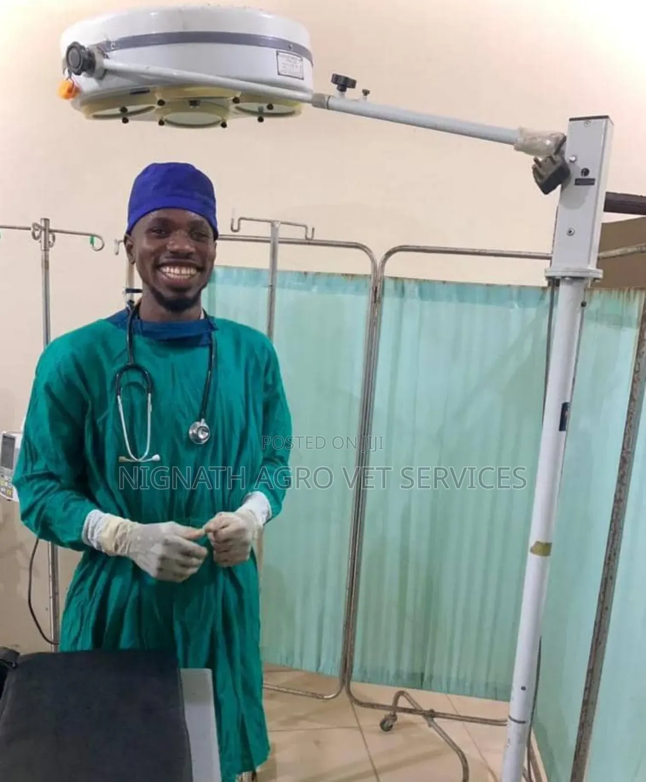 Veterinary Doctor