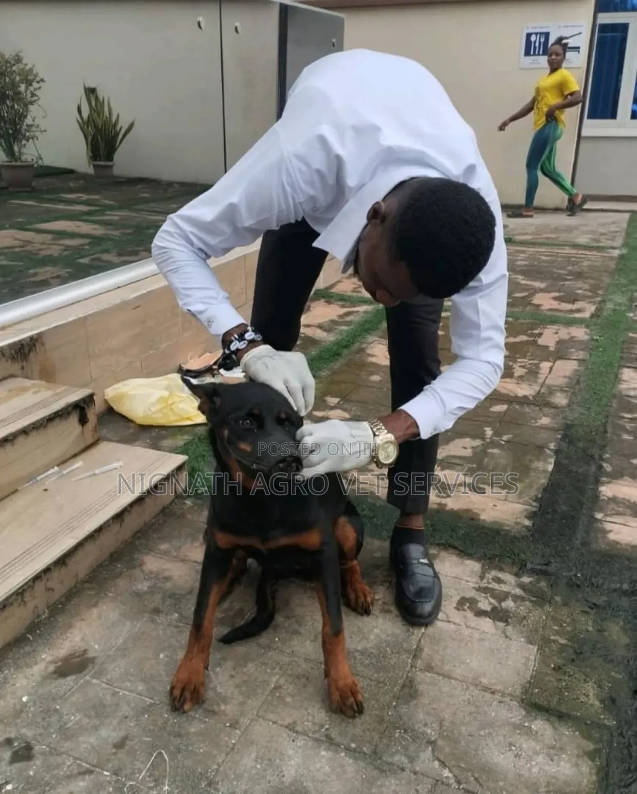 Veterinary Doctor