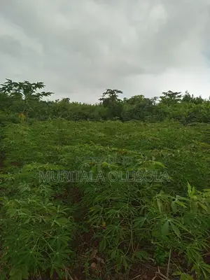 Photo - 2 Plots Of Land At Adedun Village, Fce Osiele, Abeokuta