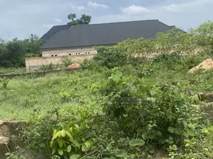 Genuine 100ft by 100ft With C of O in Amagba for Sale