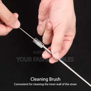 Reusable Metal Straw ( Silver)