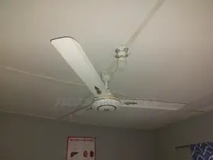 Photo - Giant Ox Fan