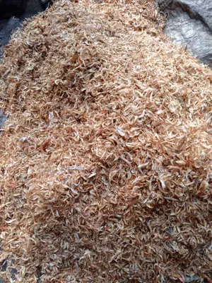 Premium Oron Crayfish – Wholesale/Bulk Supply