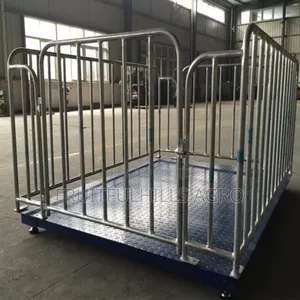 Platform Scale