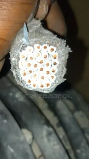 2.5mm 24 Core Armoured Cable