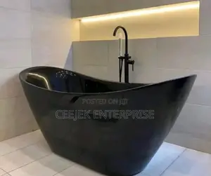 Executive Black Bathtub and Shower