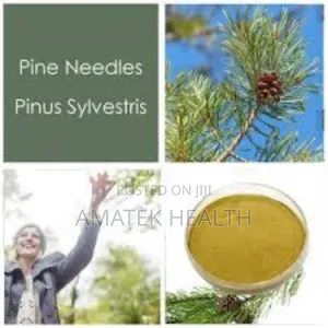Pine Niddle Powder Benefits at Amatek