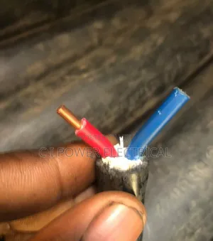 6mm 2 Core Armored Cable