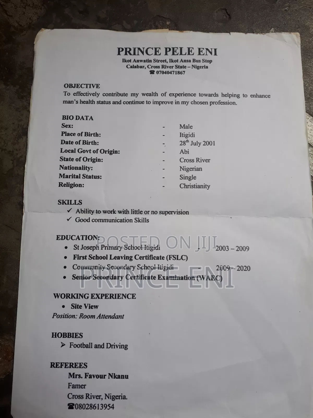 Curriculum Vitae