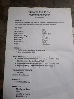 Curriculum Vitae