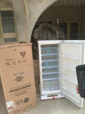 High-efficiency Lg Gn-304sqgt Freezer For Nigerian Homes