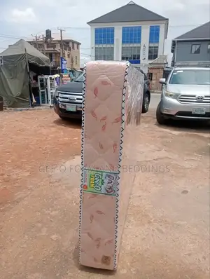 6x4.5 10 Inches Mattress (Orthopedic Standard)