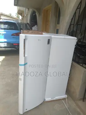 Lg Gn-304sqgt: Frost-free Freezer For Nigerian Homes