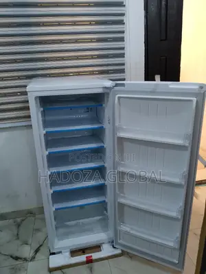 Lg Gn-304sqgt: Reliable Freezer For Nigerian Households