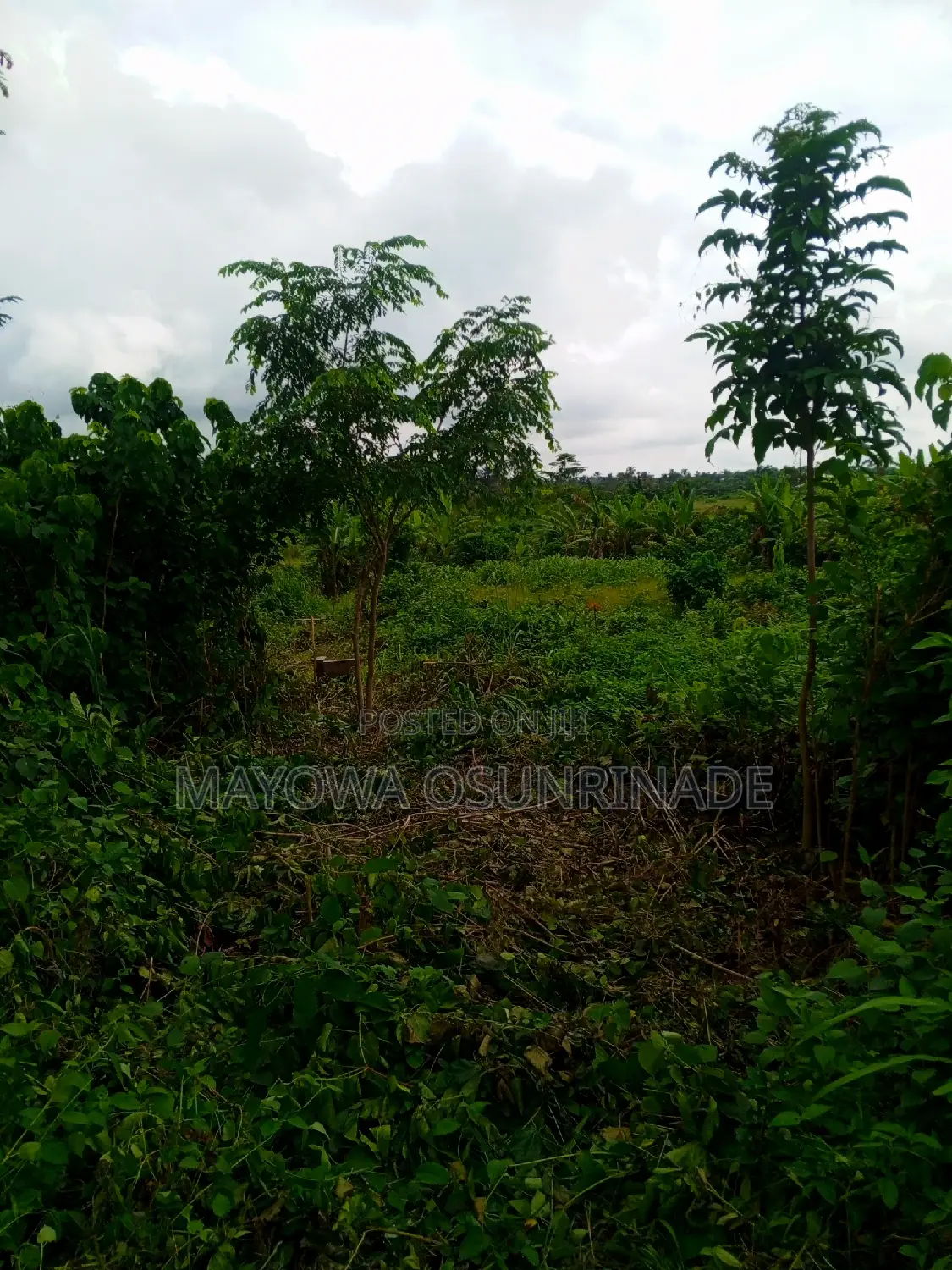 Land for Sale at Oloje Ido Road