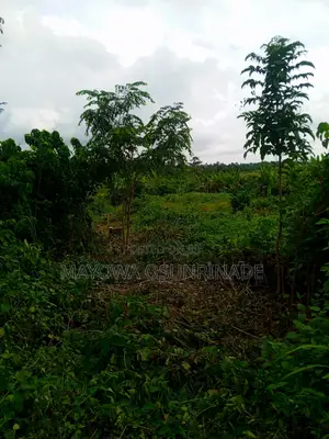 Land for Sale at Oloje Ido Road